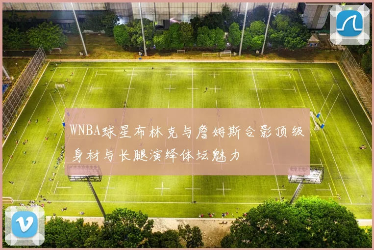 WNBA球星布林克与詹姆斯合影顶级身材与长腿演绎体坛魅力