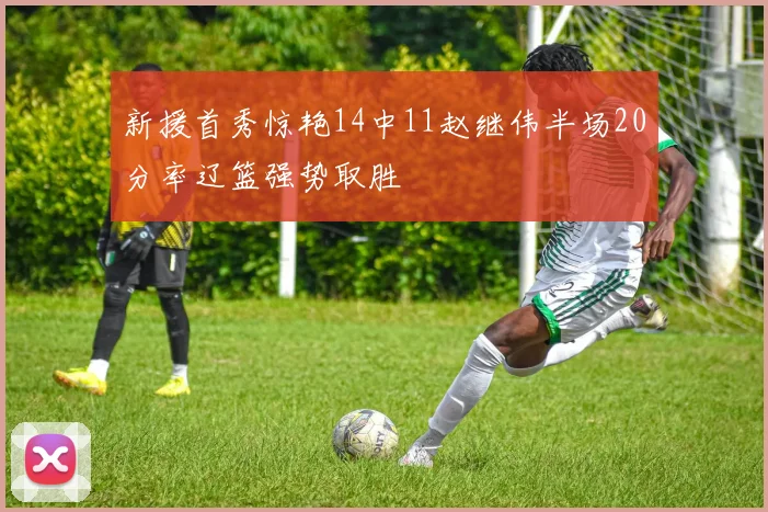 新援首秀惊艳14中11赵继伟半场20分率辽篮强势取胜